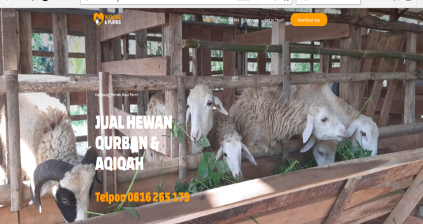 Pelatihan Pengelolaan Website Sebagai Media Promosi Penjualan Hewan Pada Kampung Ternak Bojo Farm Bogor
